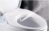 bidet