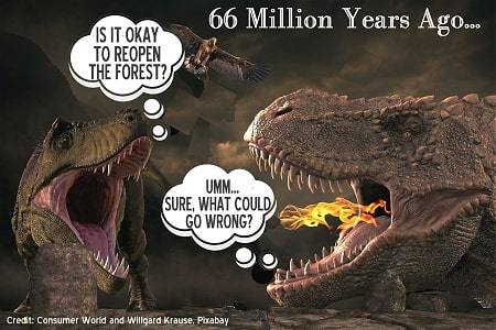 A history lesson from the dinosaur age...