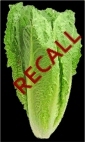 food recall